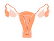 Utero1