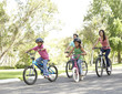 Young Family Riding Bikes In Park