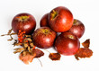 Autumn Apples