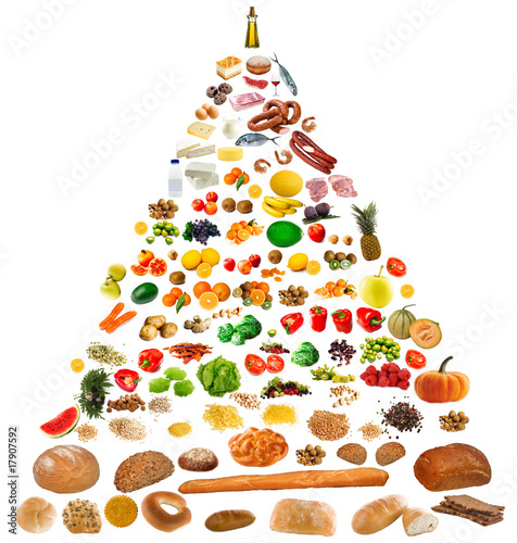 Photo: large food pyramid large food pyramid