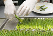 Foto: A chef in a restaurant kitchen roast an asparagus A chef in a restaurant kitchen roast an asparagus