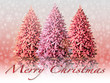 illustration of a snowy Christmas landscape with trees illustration of a snowy Christmas landscape with trees