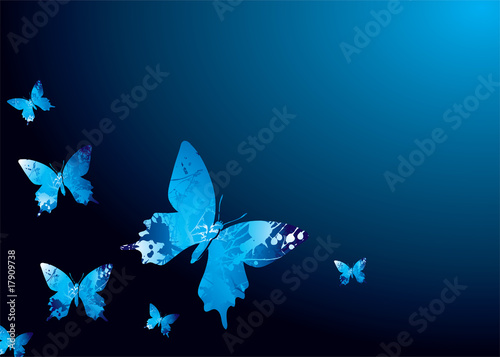 Vektor: cool butterfly cool butterfly