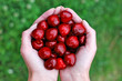 Cherries and hand 1