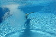 Photo : Young man diving into swimming pool