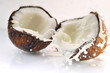 cracked coconut splashing cracked coconut splashing