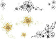 Lilie, Lilien, Blumen, Blüten, filigran, floral, Set