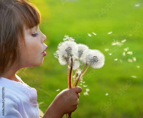 Foto: Little girl blowing dandelions on the meadow Little girl blowing dandelions on the meadow
