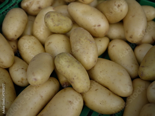 pommes de terre pommes de terre