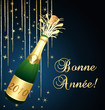 Bonne année 2010! Bonne année 2010!
