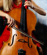 Cello musician