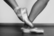Ballet Shoes