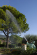 Traitement phytosanitaire