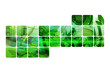 Green square pattern ecology