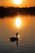 couchè de soleil sur le lac de vaires