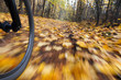 Riding bicycle. Abstract motion blur.