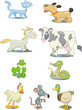 Vector: Animals Animals