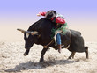 Photo: Cowboy Riding a Bull Cowboy Riding a Bull