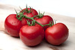 Tomaten 02