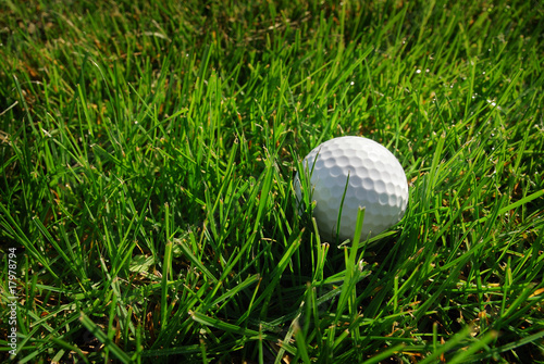 Photo: golf ball on a grass golf ball on a grass