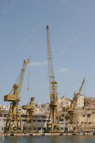 Foto: Cranes Cranes