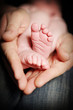 L'amour parentale