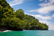Rocky coastline and jungle near the sea Rocky coastline and jungle near the sea