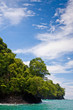 Rocky coastline and jungle near the sea Rocky coastline and jungle near the sea