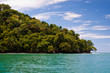 Rocky coastline and jungle near the sea Rocky coastline and jungle near the sea
