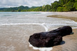 Piece of wood on the tropical beach Piece of wood on the tropical beach