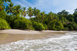 Palm trees on the beach near with blue sky Palm trees on the beach near with blue sky
