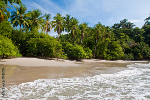 Photo: Palm trees on the beach near with blue sky Palm trees on the beach near with blue sky
