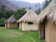 Selva Campamento