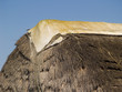 Barraca 1