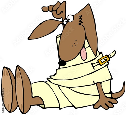Illustration: Crazy Mutt Crazy Mutt