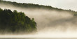 morgens im nebel