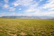 Large Field 2 Large Field 2