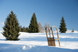 Sleigh in snow