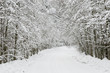 winter road