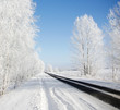 Winter road
