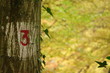 n°3