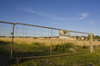 No trespassing sign against backdrop of farmland and houses