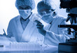 scientists working at the laboratory scientists working at the laboratory