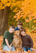 Boys in the Fall Leaves Boys in the Fall Leaves