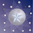 Weihnachtsstern