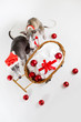 santa whippets with christmas cart santa whippets with christmas cart