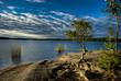 Stoney forest - 4