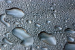 Blei oder Wasser? 1