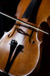Cello on black