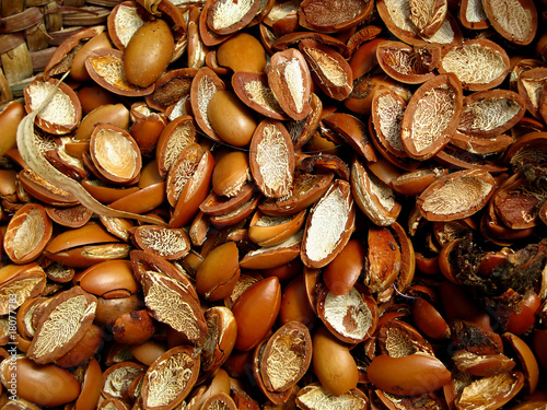 Photo: noyaux d'arganier pour production d'huile d'argan noyaux d'arganier pour production d'huile d'argan